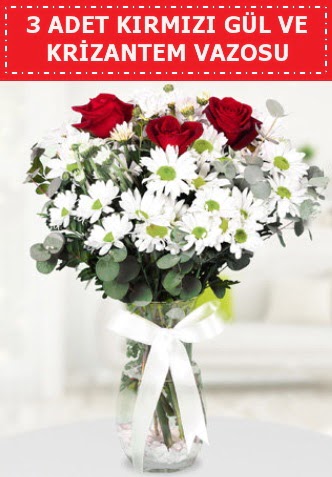 3 k�rm�z� g�l ve camda krizantem �i�ekleri  Ankara Anadolu �i�ek g�nderme 
