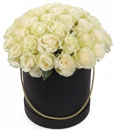 33 adet beyaz gül özel kutuda isteme çiçeği  Ankara Anadolu internetten çiçek satışı 