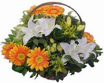  Ankara Anadolu online �i�ek�i , �i�ek sipari�i  sepet modeli Gerbera kazablanka sepet