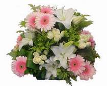  Ankara Anadolu kaliteli taze ve ucuz �i�ekler  G�l kazablanka gerbera sepet �i�ek modeli