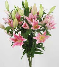  Ankara Anadolu ucuz �i�ek g�nder  5 Pembe lilyum kazablanka buket �i�ek modeli
