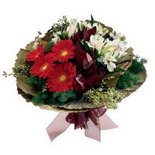  Ankara Anadolu 14 �ubat sevgililer g�n� �i�ek  gerbera ve mevsim demeti