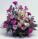  Ankara Anadolu çiçek online çiçek siparişi  oyuncak ve mevsim çiçekleri