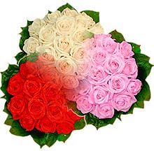 3 renkte gül seven sever   Ankara Anadolu çiçek , çiçekçi , çiçekçilik 