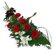 7 adet g�l ve kazablanka   Ankara Anadolu ucuz �i�ek g�nder 