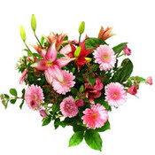 lilyum ve gerbera �i�ekleri - �i�ek se�imi -  Ankara Anadolu �i�ek g�nderme 