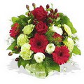 karanfil gerbera ve g�ller - d�s�nenelere �zel -  Ankara Anadolu �i�ek g�nderme 