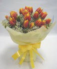 lale �i�egi buket halindedir   Ankara Anadolu �i�ek , �i�ek�i , �i�ek�ilik 