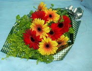 t�l i�erisinde gerbera �i�ekleri 11 adet  Ankara Anadolu cicek , cicekci 