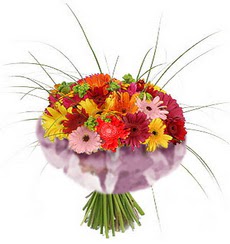 karisik gerbera demeti 15 adet gerberalardan  Ankara Anadolu �i�ek�i ma�azas� 