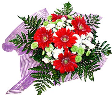 gerbera ve krizantem demeti  Ankara Anadolu �i�ek�i ma�azas� 