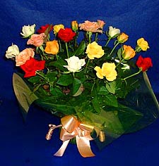  Ankara Anadolu hediye çiçek yolla  13 adet karisik renkli güller