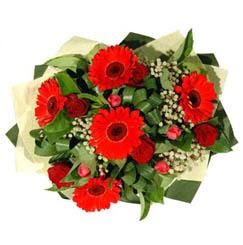  Ankara Anadolu ucuz �i�ek g�nder   5 adet kirmizi g�l 5 adet gerbera demeti