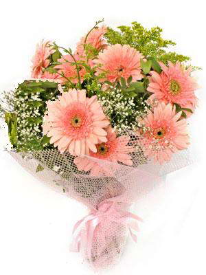  Ankara Anadolu �i�ek sat���  11 adet gerbera �i�egi buketi