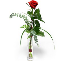  Ankara Anadolu 14 şubat sevgililer günü çiçek  Sana deger veriyorum bir adet gül cam yada mika vazoda