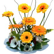 camda gerbera ve mis kokulu kir �i�ekleri  Ankara Anadolu �i�ek�i telefonlar� 