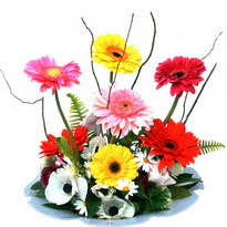  Ankara Anadolu hediye �i�ek yolla  camda gerbera ve mis kokulu kir �i�ekleri 