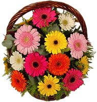 Sepet içerisinde sicak sevgi çiçekleri  Ankara Anadolu hediye çiçek yolla 