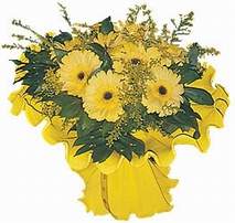  Ankara Anadolu �i�ek�i ma�azas�  9 adet sari g�zel gerbera