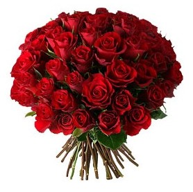  Ankara Anadolu �i�ek , �i�ek�i , �i�ek�ilik  33 adet k�rm�z� g�l buketi