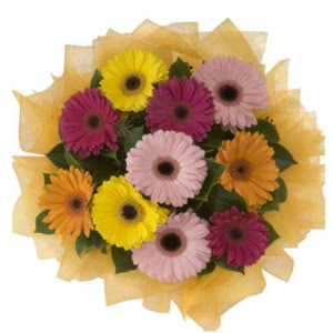  Ankara Anadolu Anadolu �nternetten �i�ek sipari�i  11 adet kar���k gerbera �i�e�i buketi