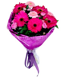  Ankara Anadolu çiçek siparişi sitesi  karışık gerbera çiçeği buketi