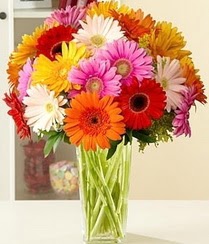  Ankara Anadolu �i�ek servisi , �i�ek�i adresleri  15 adet gerbera �i�ek vazosu