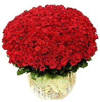 501 adet kırmızı gül aranjmanı  Ankara Anadolu online çiçek gönderme sipariş 