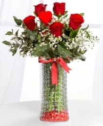 Cam vazoda 5 adet kırmızı gül kalp çubuk  Ankara Anadolu ucuz çiçek gönder 