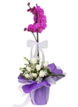 1 dal mor orkide ve 11 adet beyaz gül  Ankara Anadolu 14 şubat sevgililer günü çiçek 