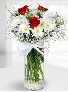 3 k�rm�z� g�l ve krizantemler camda  Ankara Anadolu �i�ek ma�azas� , �i�ek�i adresleri 