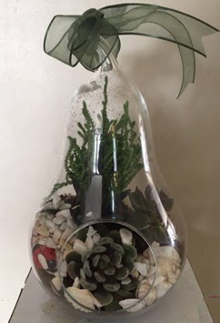 Orta boy armut terrarium 3 kaktüs  Ankara Anadolu güvenli kaliteli hızlı çiçek 