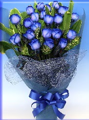 19 adet eşsiz mavi gül buketi  Ankara Anadolu uluslararası çiçek gönderme 