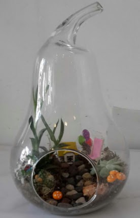 Orta boy cam armut terrarium  Ankara Anadolu çiçek satışı 