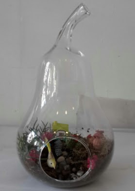 Armut orta boy cam terrarium tanzim  Ankara Anadolu çiçekçi telefonları 