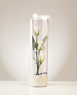  Ankara Anadolu çiçek gönderme  Nazar boncuklu 3 beyaz gül