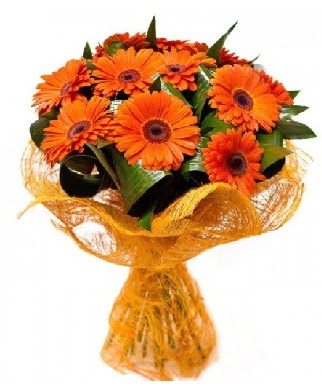 11 adet turuncu gerbera buketi  Ankara Anadolu çiçekçiler 