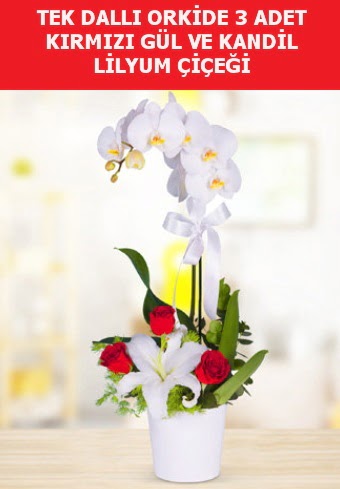 Tek dallı orkide 3 gül ve kandil lilyum  Ankara Anadolu çiçek yolla 