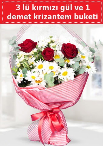 3 adet k�rm�z� g�l ve krizantem buketi  Ankara Anadolu �i�ek g�nderme sitemiz g�venlidir 