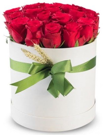 Özel kutuda 25 adet kırmızı gül çiçeği  Ankara Anadolu çiçek satışı 